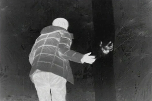 Enforcement Patrol 2